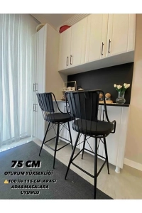 Reina Bar Sandalyesi 